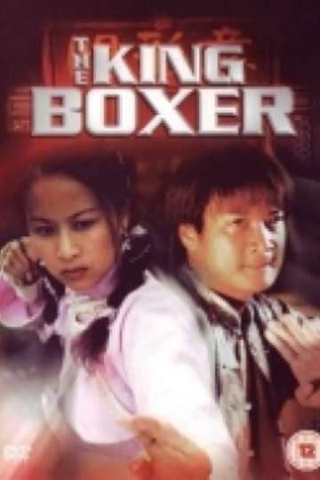 The King Boxer Poster