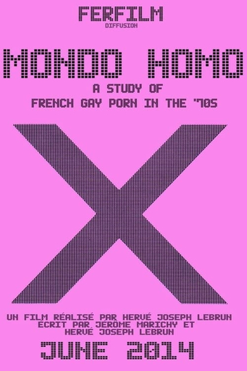 Mondo Homo: A Study of French Gay Porn in the '70s Poster