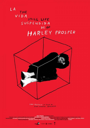 The Still Life of Harley Prosper Poster