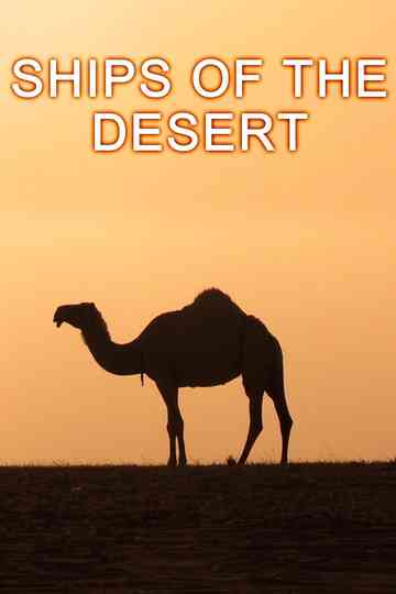 Ships Of The Desert