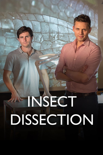 Insect Dissection