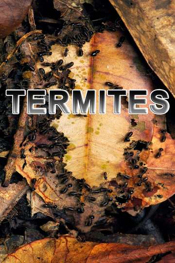 Termites The Inner Sanctum Poster