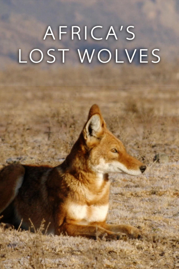 Africas Lost Wolves