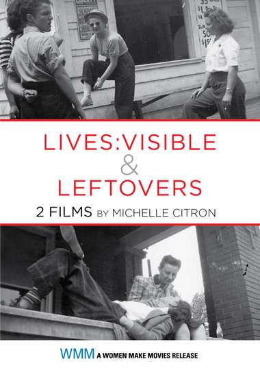 Lives Visible Poster