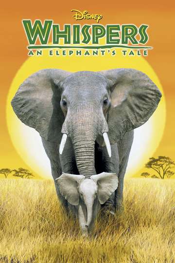 Whispers An Elephants Tale Poster