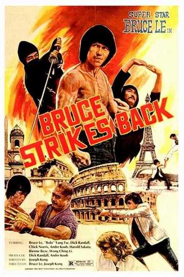 Bruce Strikes Back Poster