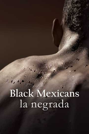 Black Mexicans Poster