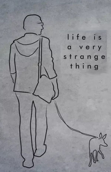 Life is a Very Strange Thing