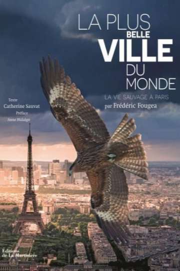 Paris A Wild Story Poster