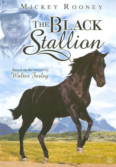 Adventures of the Black Stallion Poster