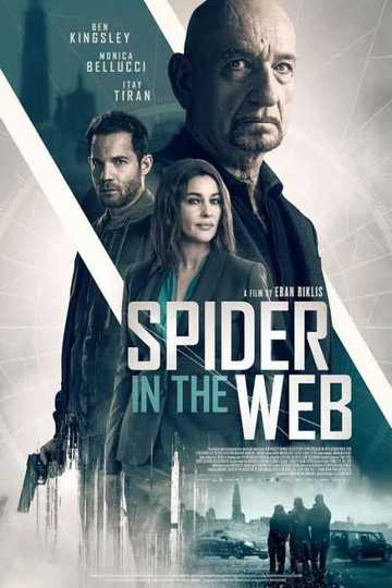 Spider in the Web Poster