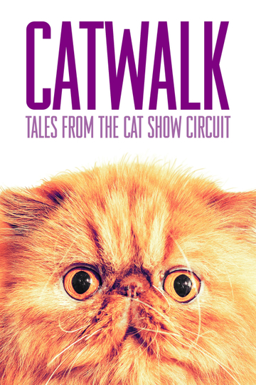 Catwalk: Tales from the Catshow Circuit Poster