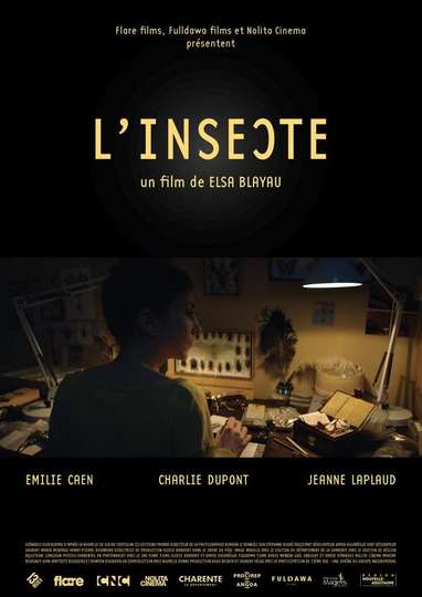 LInsecte