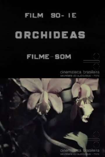 Orquídeas Poster