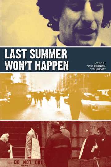 Last Summer Wont Happen Poster