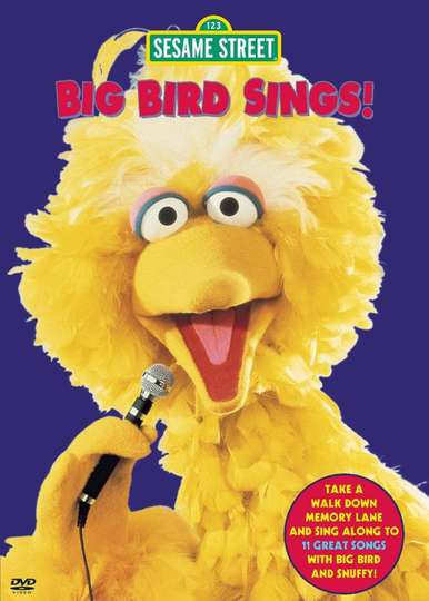 Sesame Street: Big Bird Sings! Poster