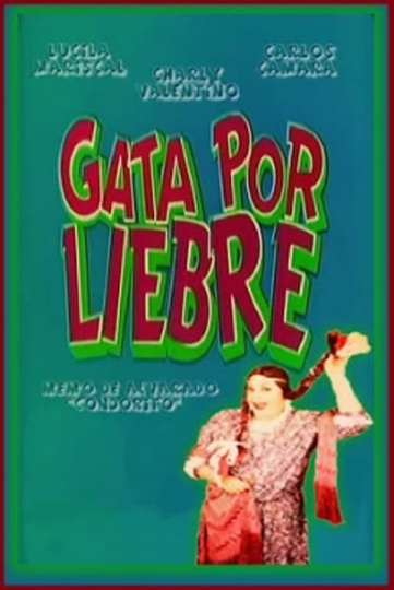 Gata por liebre Poster