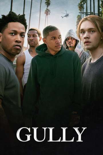 Gully Poster