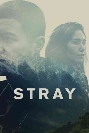 Stray Poster
