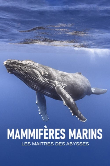 Mammifères marins  les maîtres des abysses