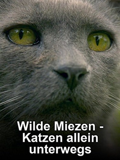 Wilde Miezen - Katzen allein unterwegs