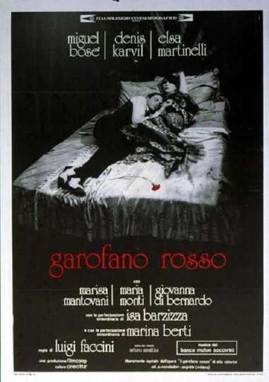 The Red Carnation Poster