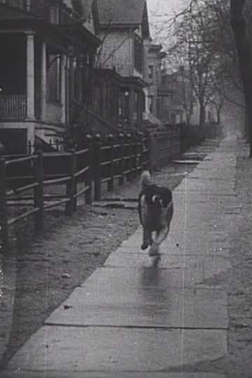 The Detective's Dog Poster