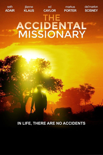 The Accidental Missionary