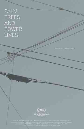 Palm Trees and Power Lines