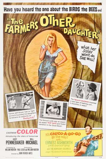 The Farmers Other Daughter Poster