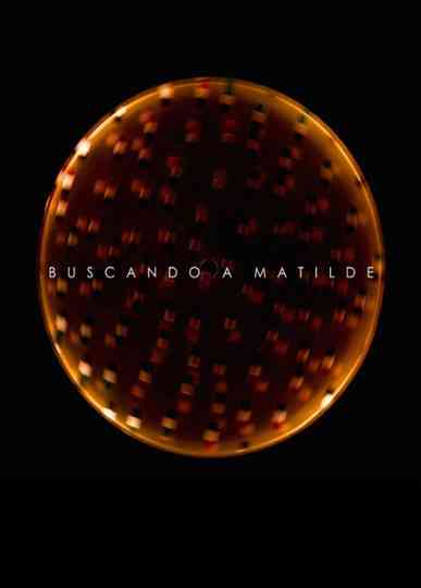 Looking for Matilde