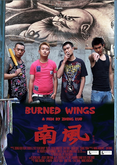 Burned Wings