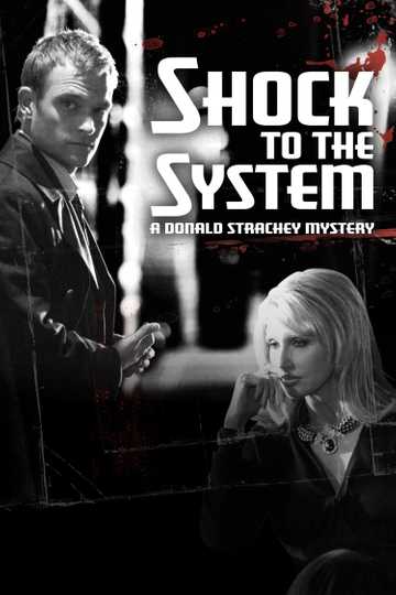 Shock to the System: A Donald Strachey Mystery Poster