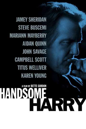 Handsome Harry Poster