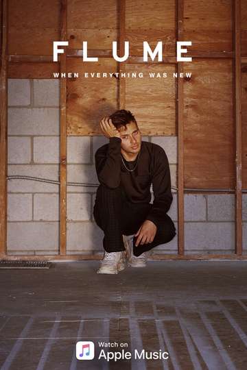 Flume When Everything Was New Poster
