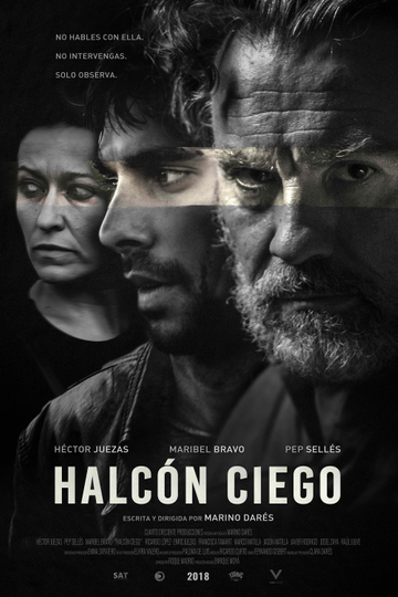 Halcón Ciego