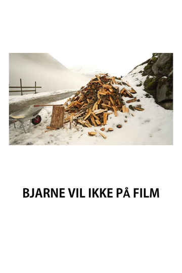 Bjarne Hates the Camera Poster