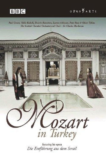 Mozart in Turkey Poster