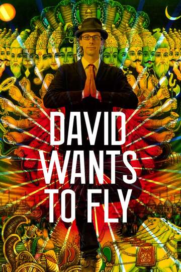 David Wants to Fly Poster