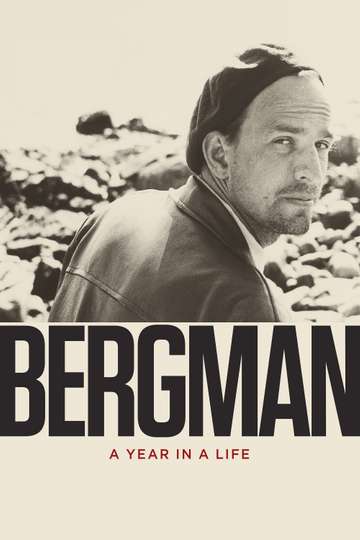 Bergman A Year in a Life Poster
