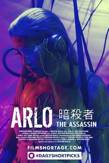 ARLO THE ASSASSIN Poster