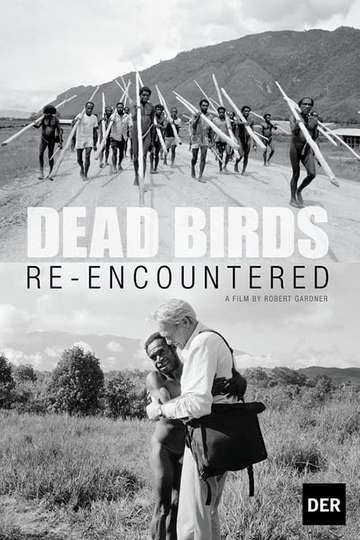 Dead Birds Re-Encountered Poster