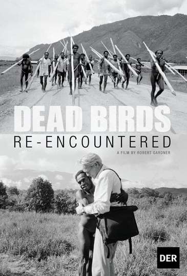 Dead Birds ReEncountered Poster