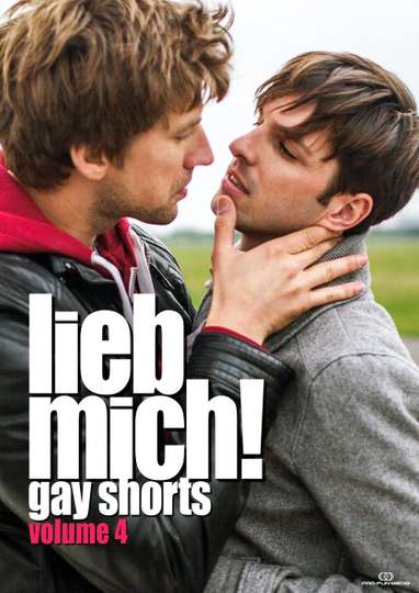 LIEB MICH  Gay Shorts Volume 4