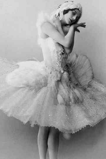 The Immortal Swan