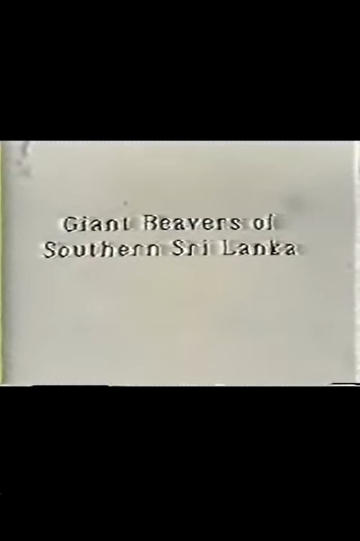 Giant Beavers of Southern Sri Lanka