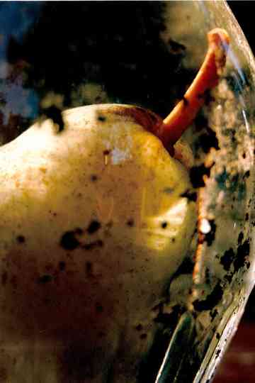 Prisoner Pair Poster