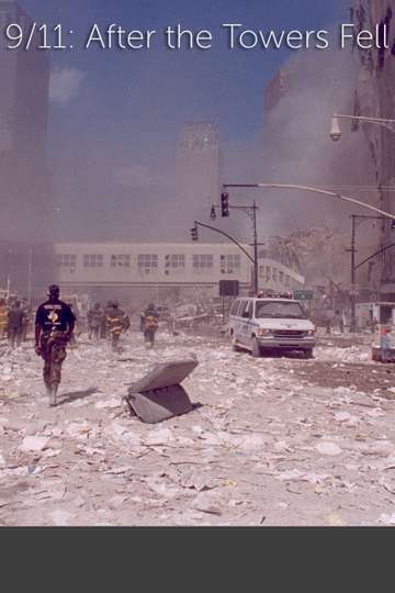 911 After The Towers Fell