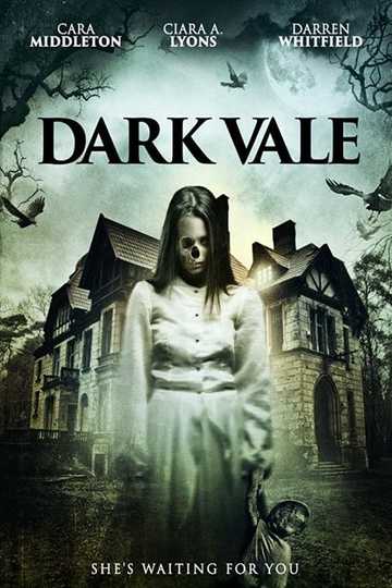 Dark Vale Poster