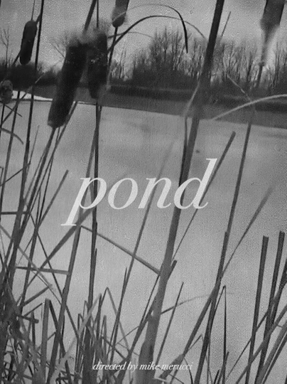 Pond Poster